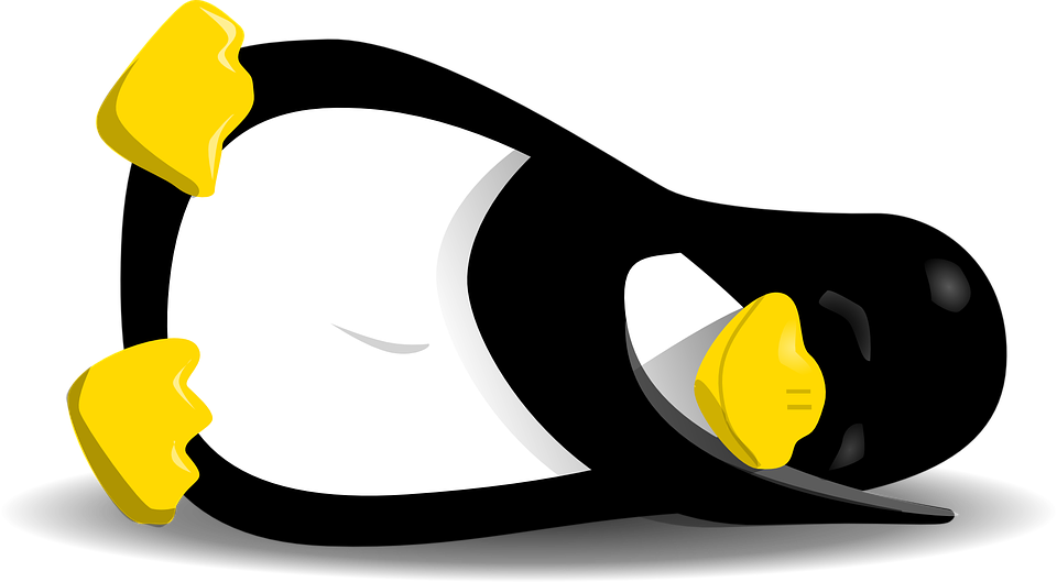 penguin_large.png
